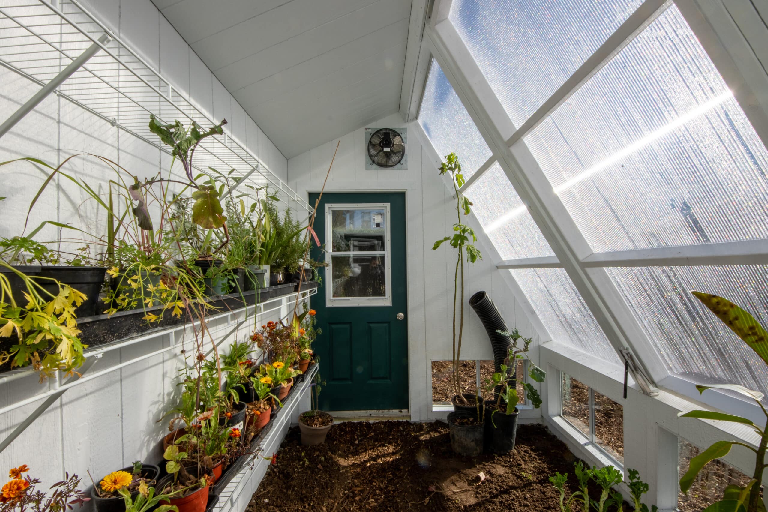 prefab greenhouse shed interior