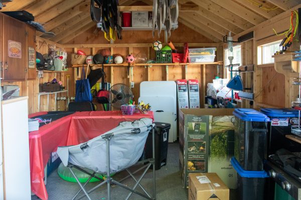 fun shed interior in dream backyard