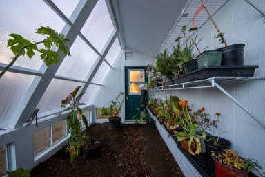 passive solar greenhouse