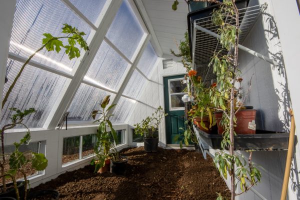 modern backyard ideas greenhouse in ma