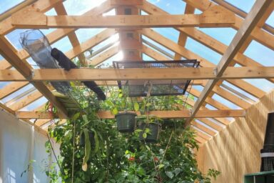 greenhouse design ideas plants