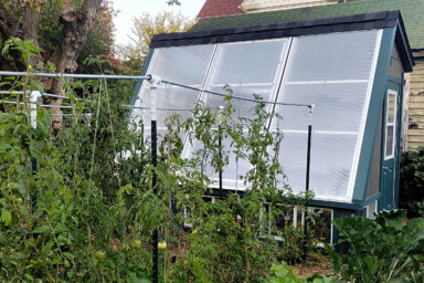 solar greenhouse with veggies