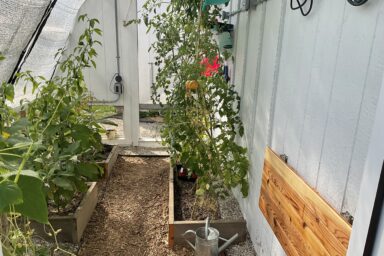 passive solar greenhouse garden