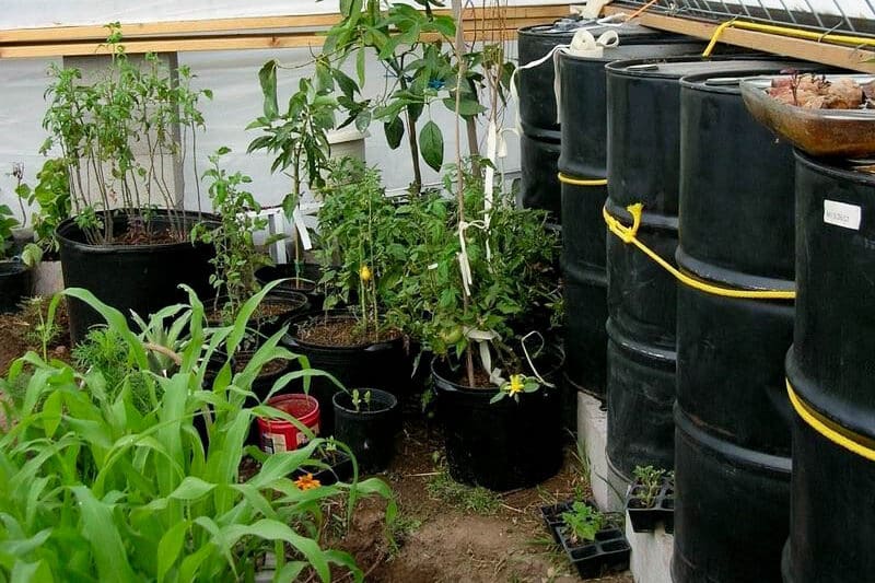 how to heat a greenhouse water barrels